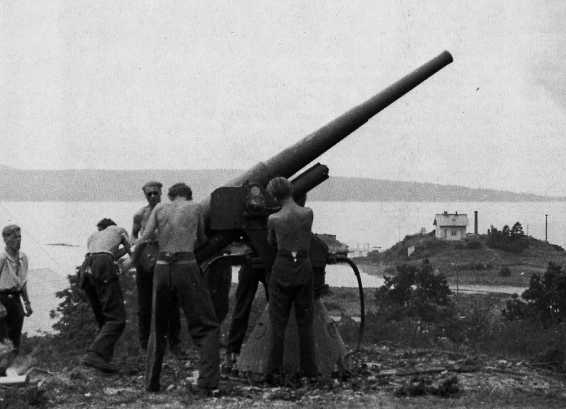 7.5 cm luftvernkanon m16 anti aircraft gun.jpg