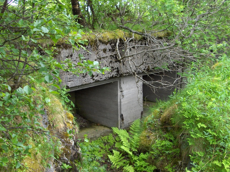 Bunker steigen 013.jpg