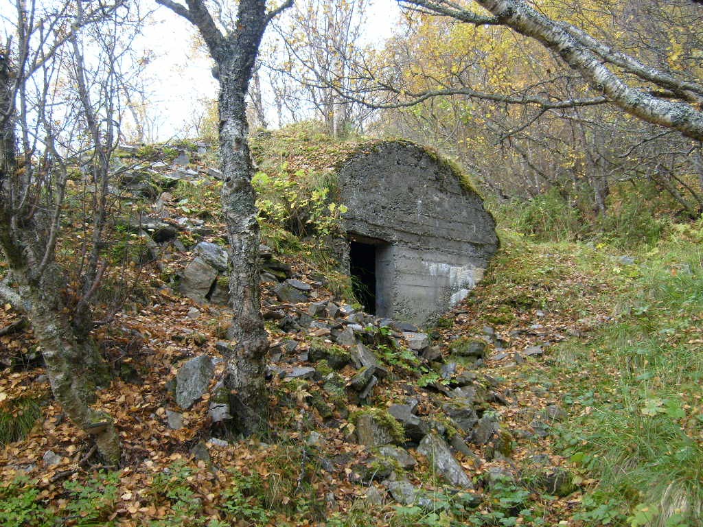 Liten bunker.jpg