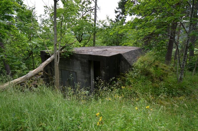 Bunker 5 - Bak