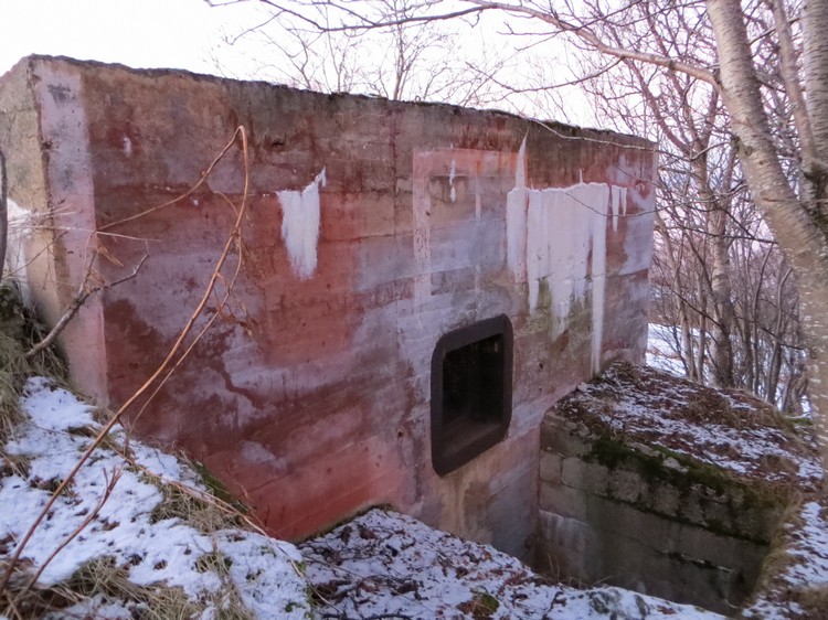 PAK-bunker