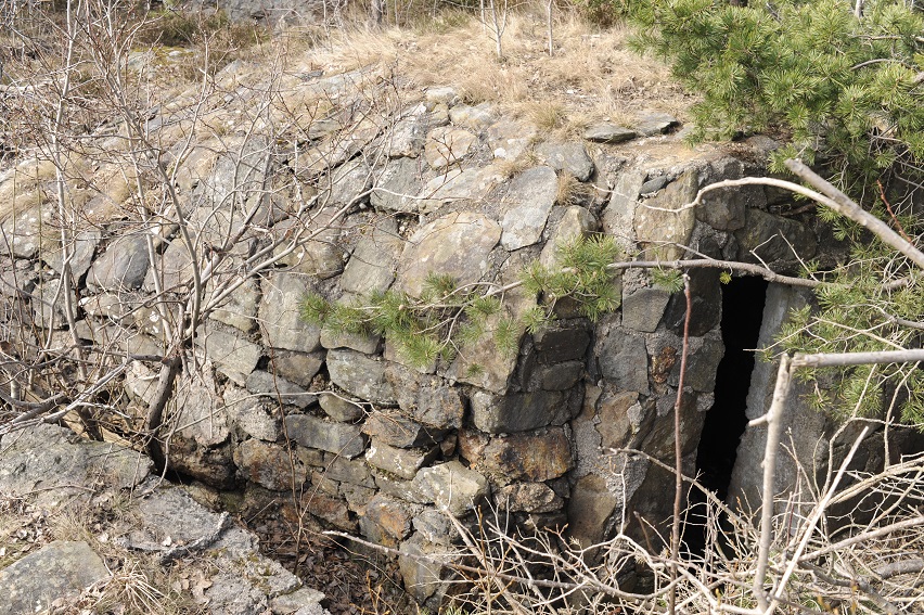 Bunkers på Tyskerheia