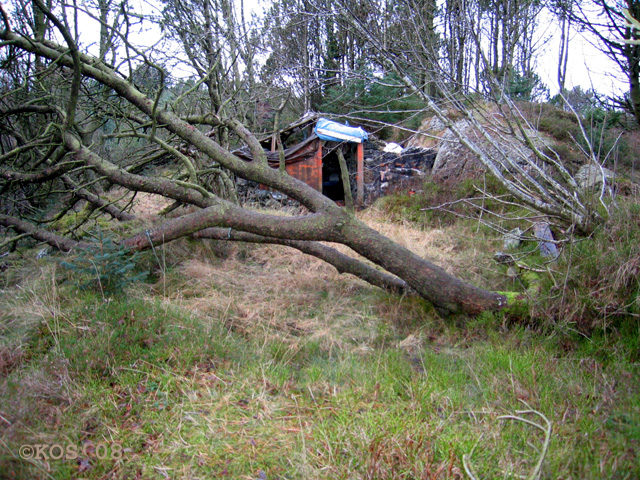 Fra den høyden med mest aktivitet. Bildet tatt fra 'stilling' mot liten grunnmur. Nedenfor her var en større ruin.