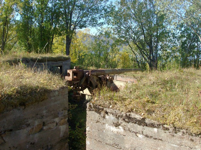 88 mm 3 .jpg