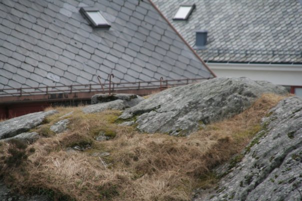 På toppen av &amp;quot;Storemikkelen&amp;quot; kan vi se noen små fundament i betong, samt skimte rester etter boltene hvor tårnet som huset en 60cm lyskaster var festet.
