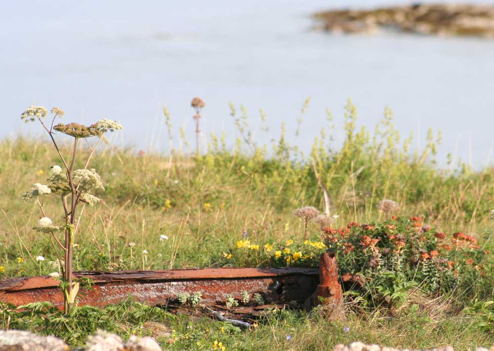 Restene av fundamentet til en 150cm lyskaster på nord Storfosna.