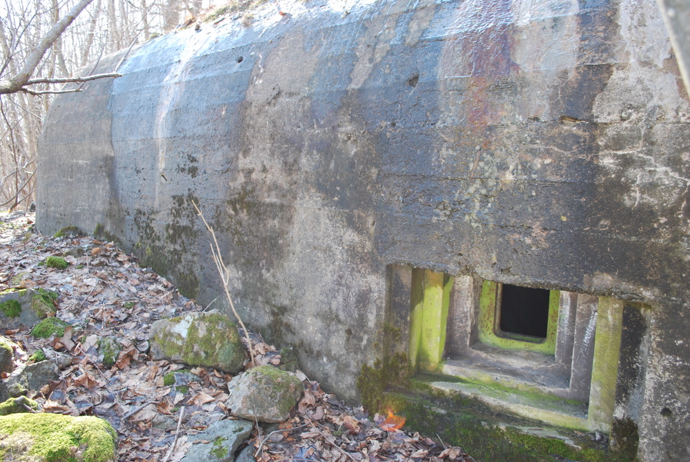 DSC_0389.JPG