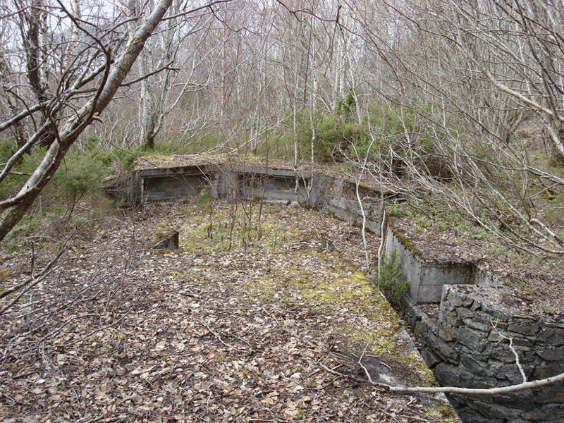 Stilling for 8.8cm Flak (nr.31)