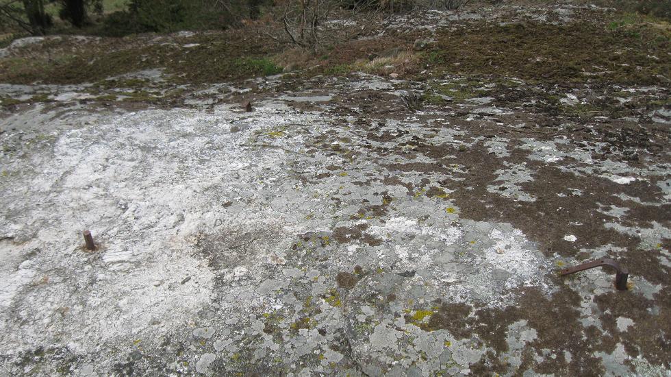 Tofteberg.jpg