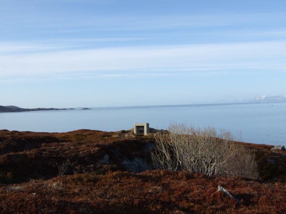 Svinøya, Bjarkøy k.
