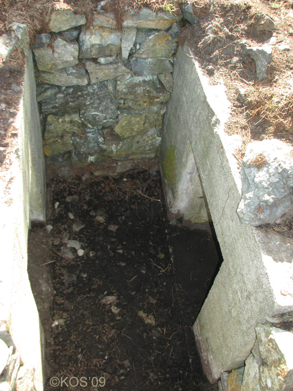 Tilstøtende ammo-nisjer.