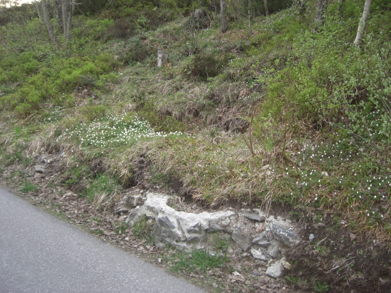 Til og med snøplogen fant ei overgrodd mg-stilling eller noe slikt, like ved tunnellen