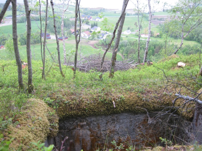 img_5145.jpg