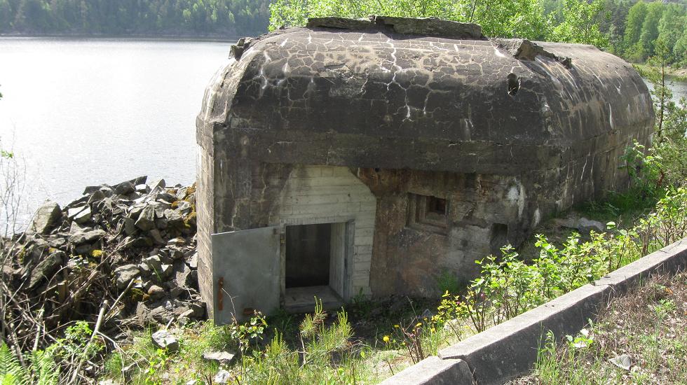 Trøsken (2).jpg