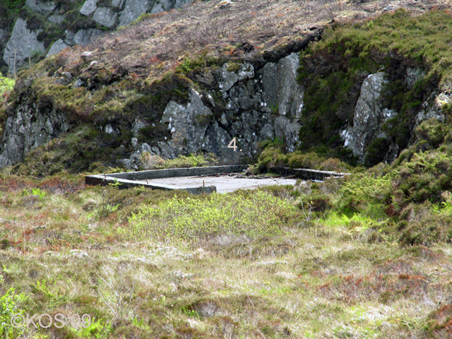 4. Agregathus.