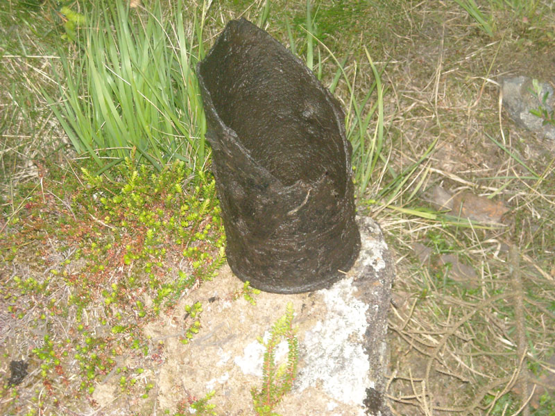 14-06-2009-001-aaa.jpg