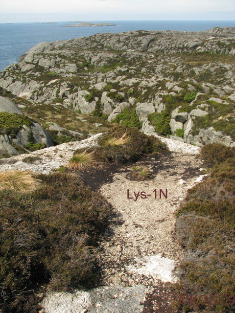 &quot;Lys-1N&quot;