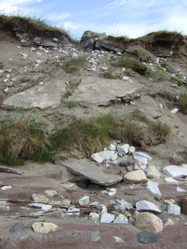 tromsø050709 027.jpg