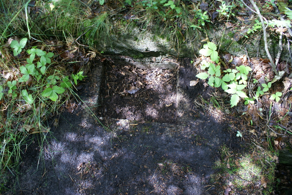 DSC00825.JPG