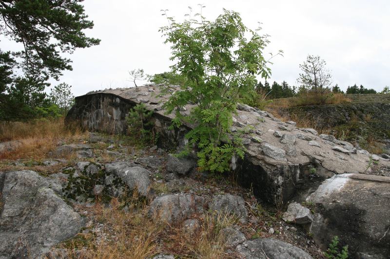 Bunkerkonstruksjonen sett fra vest