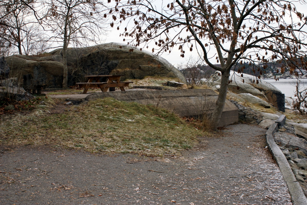 DSC09251.JPG