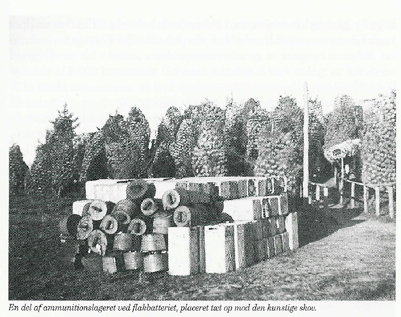 Hals, flakbatteri, ammunition, Nordmandshage.jpg