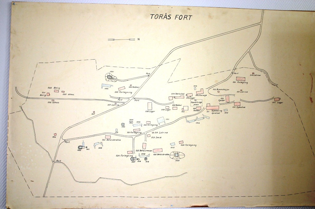 Kopi av Kart Torås.JPG