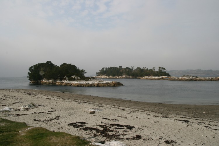 IMG_7445.jpg