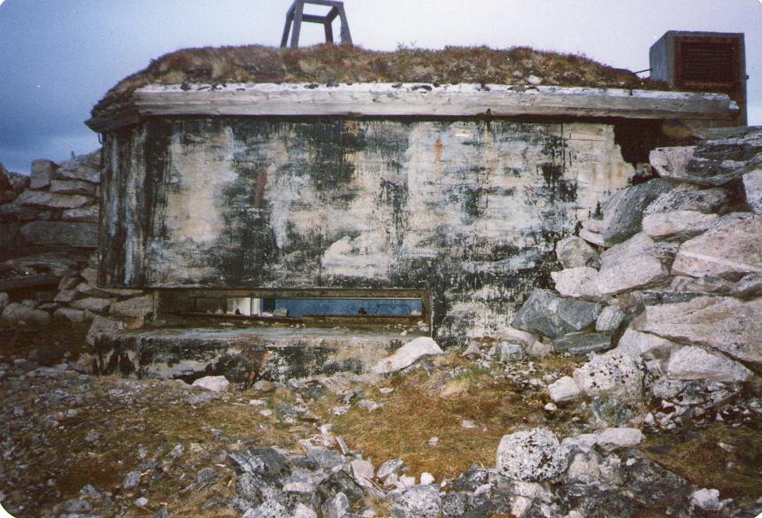 img024a.jpg