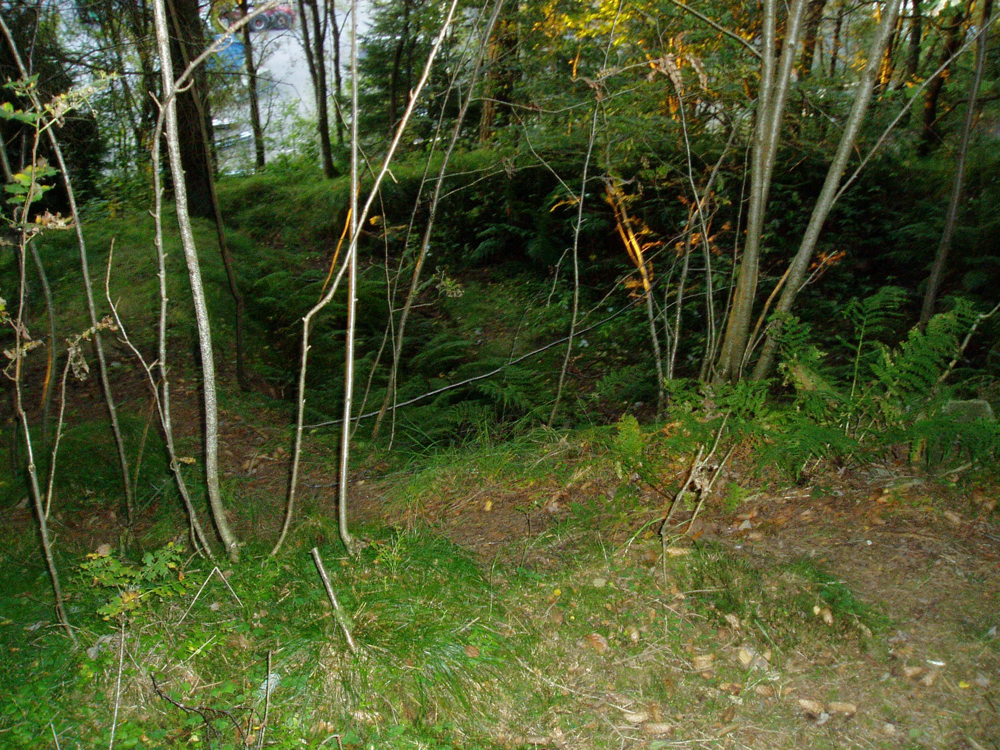 P9140328.JPG