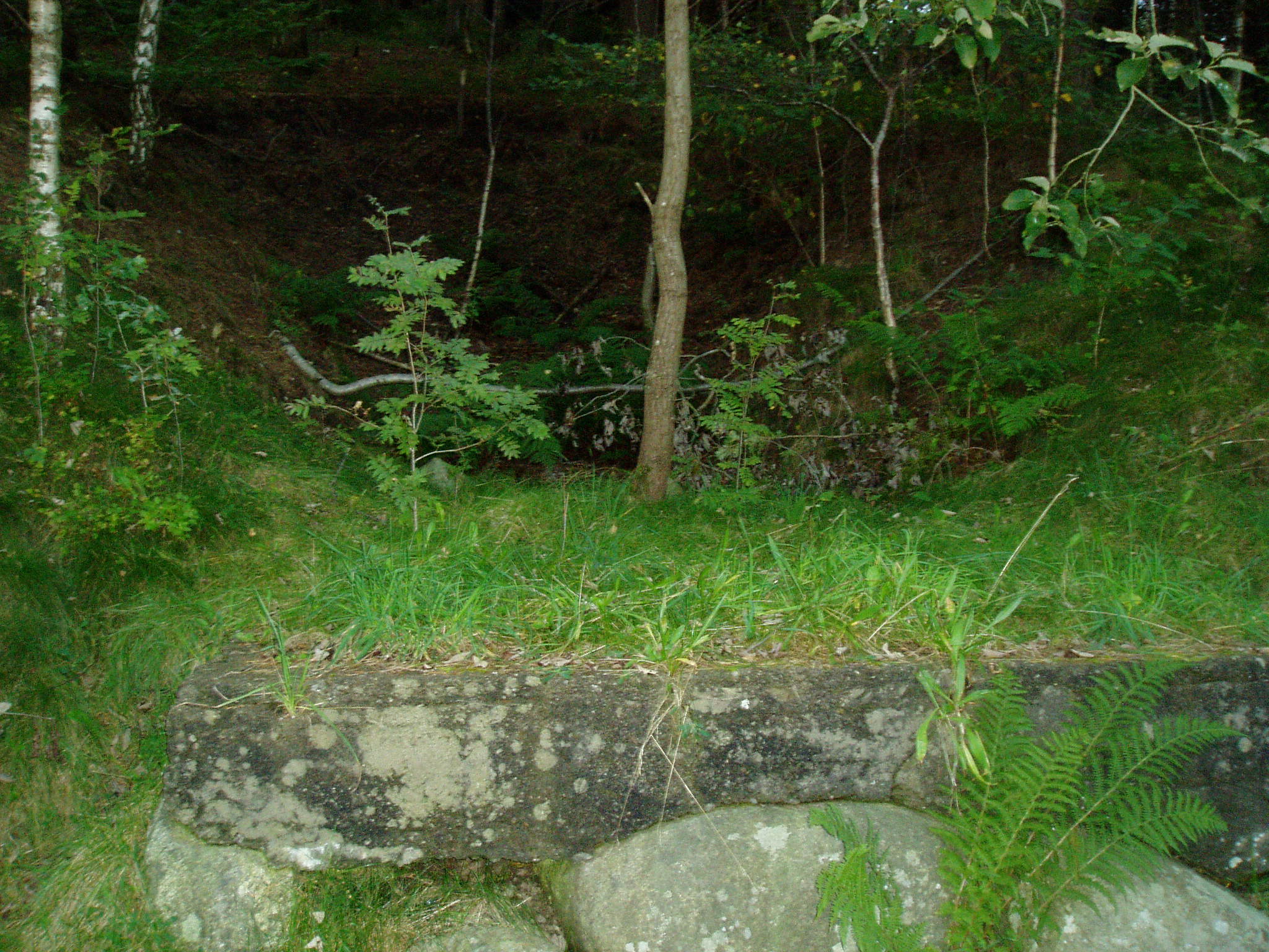 P9140323.JPG