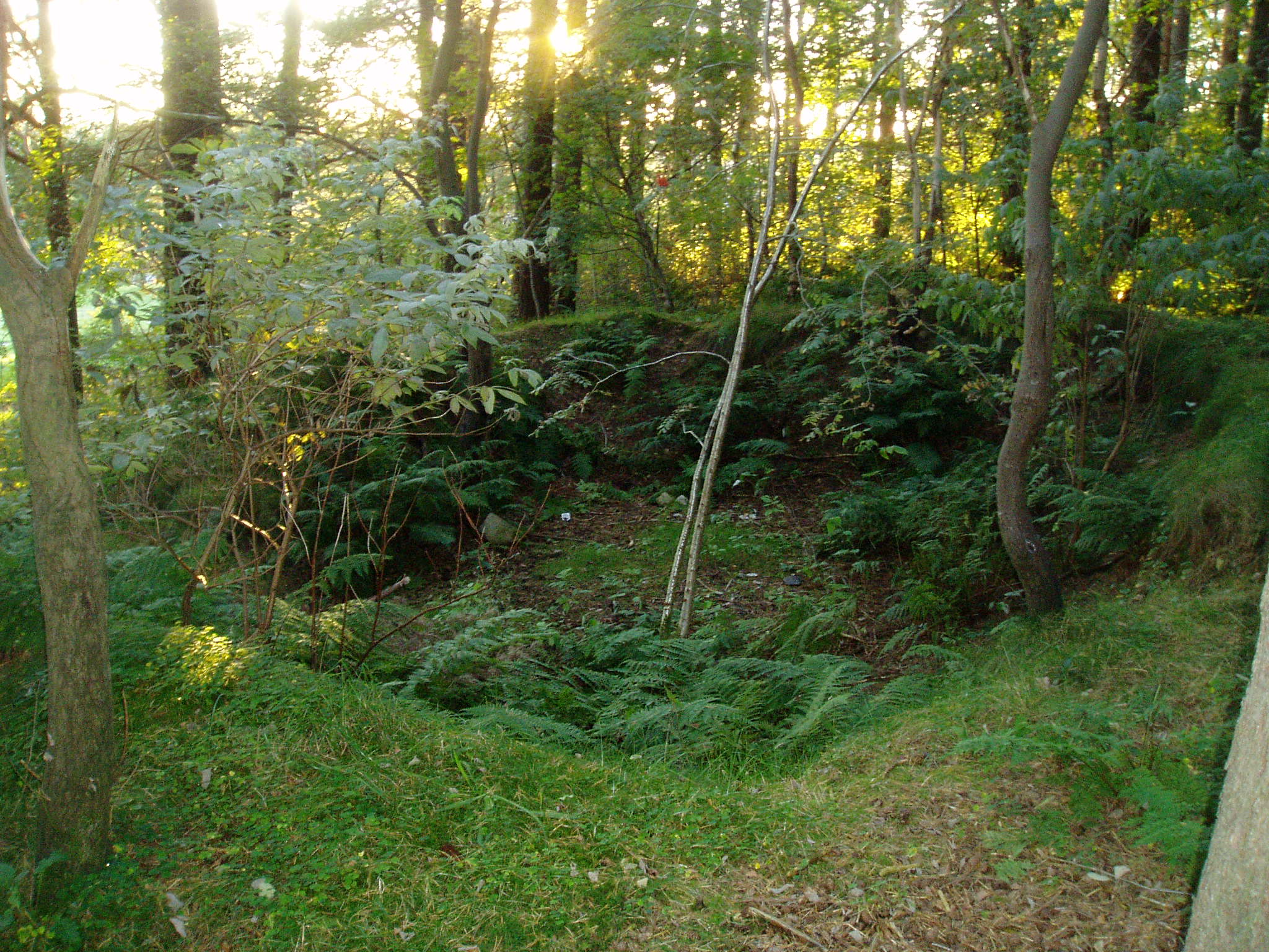 P9140321.JPG
