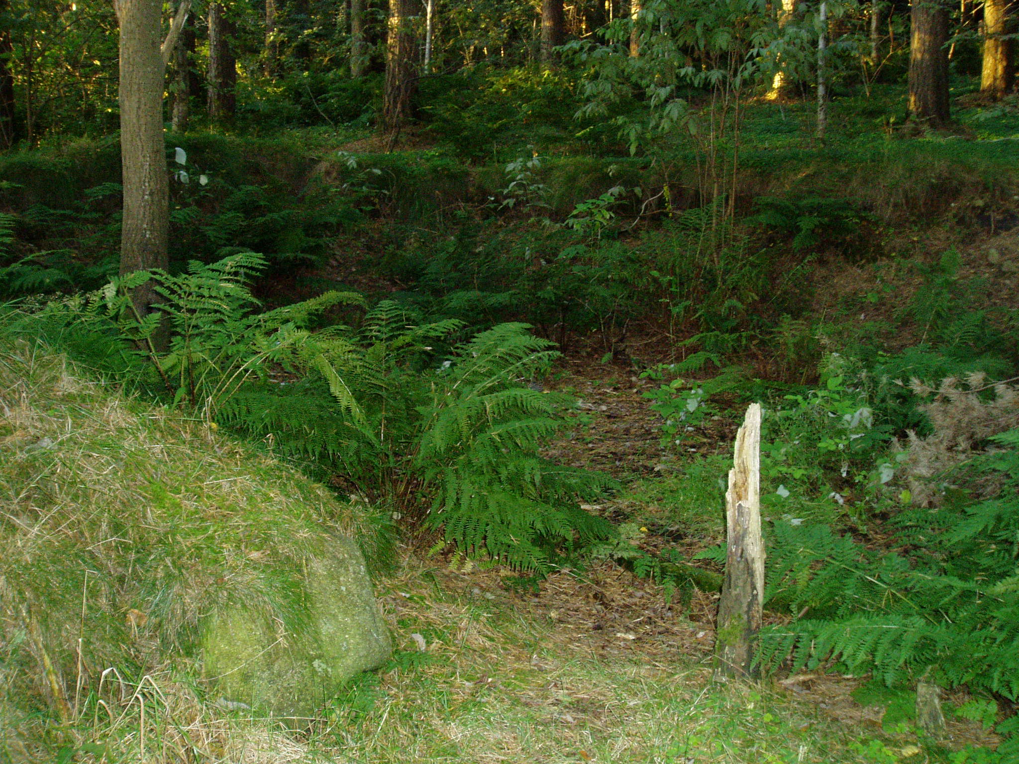P9140319.JPG