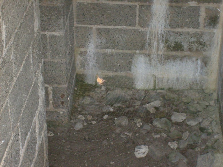 S6303449.JPG