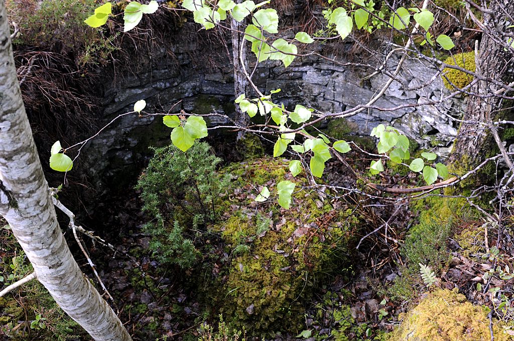 Veldig nedgrodd luftvernstilling? Lå vel et stykke på oversiden av veien gjennom fortet, opp mot foten av fjellet