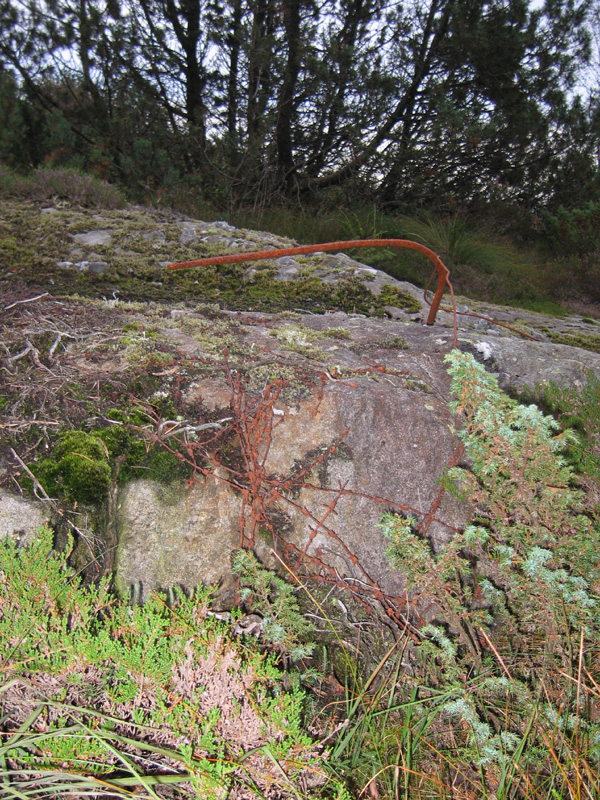 Rester etter oppryddingen...
