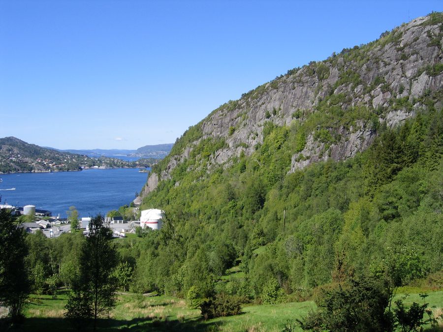 IMG_5250.jpg