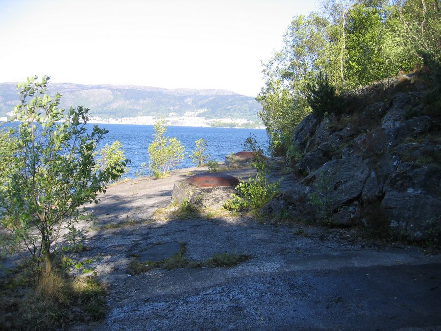 IMG_5183.jpg