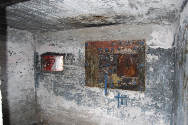 DSC_0384.jpg