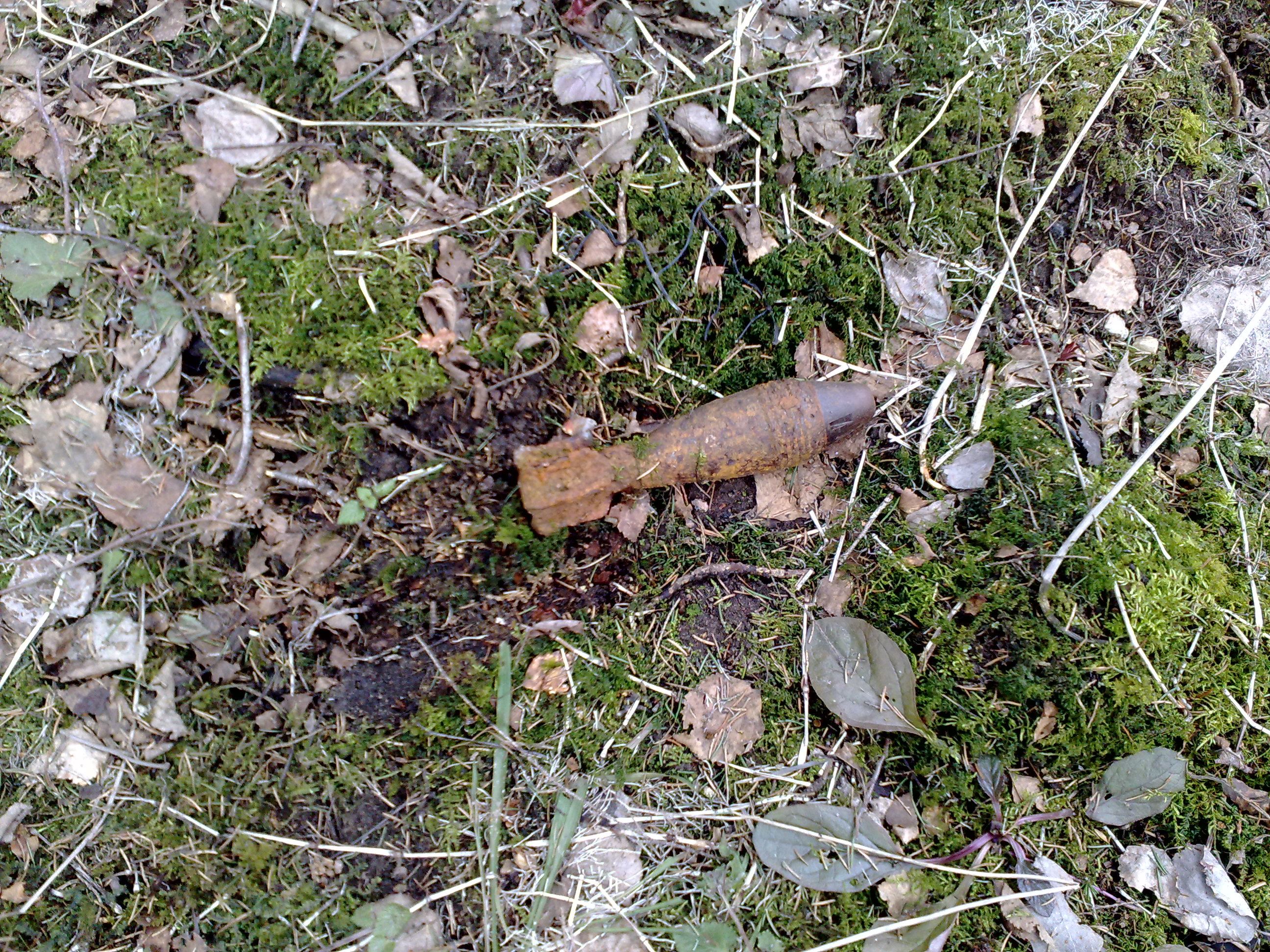 Narva 2009 107.jpg
