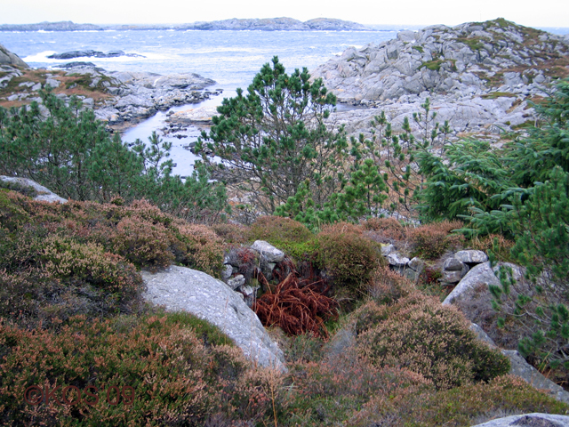 Nærforsvar mot nord-vest.