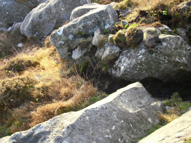 CIMG0376.JPG