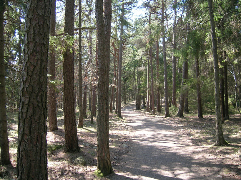 DSCN2494.JPG