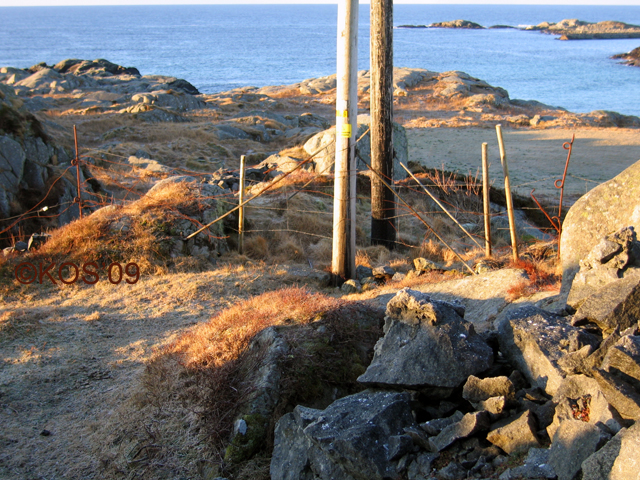 20090104_018_1.jpg