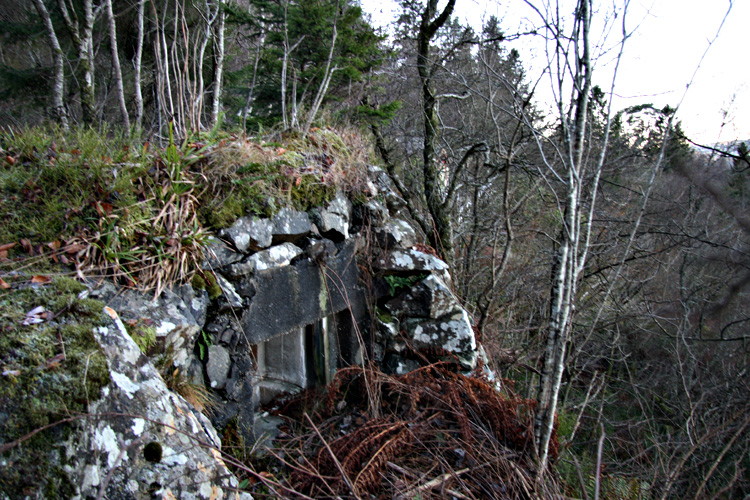 brostaneset_04.jpg