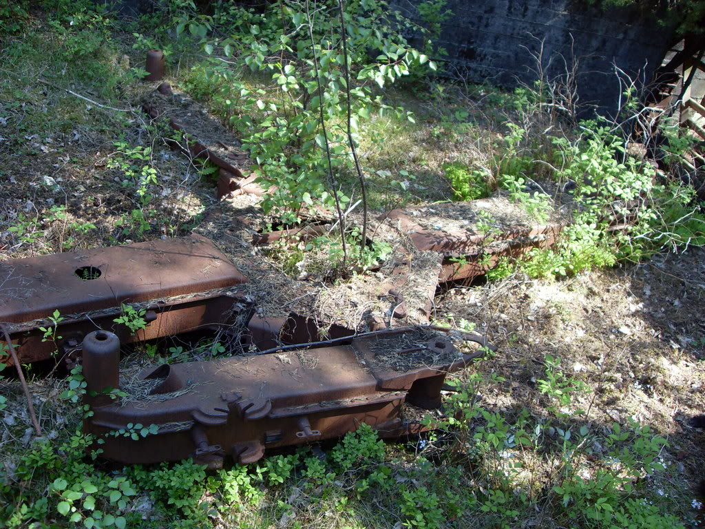 SDC10103.jpg