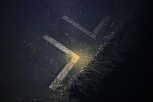 luftwaffer logo på en av vingene