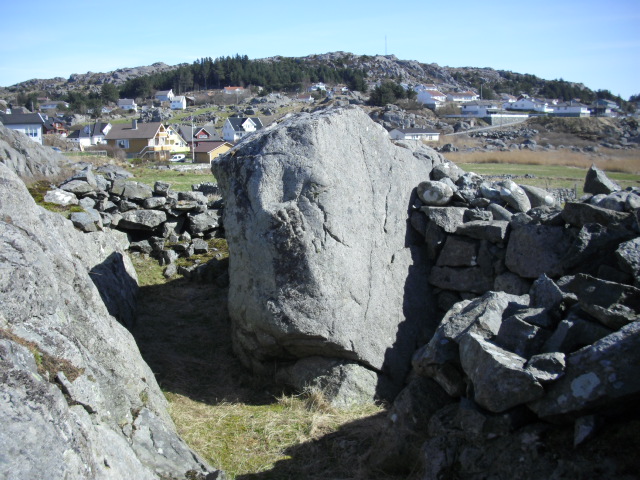 CIMG0652.JPG