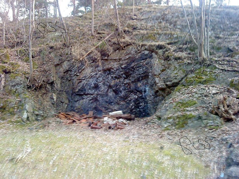 gjrterøya 1.JPG
