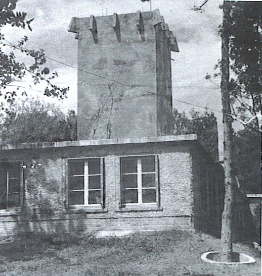 concrete%20tree.jpg